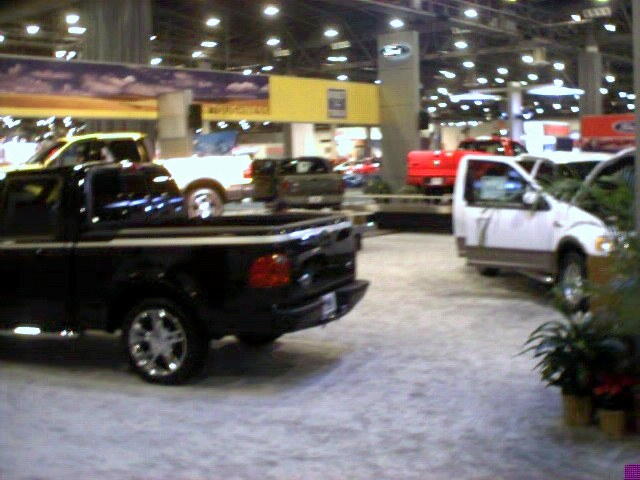 Gathering of Fords