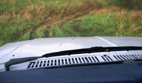 1981 Ford Bronco - The view from inside a vehicle as it drives through a grassy field with visible tire tracks.