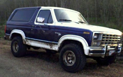 1981 Ford Bronco photo