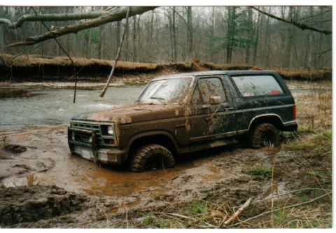 1983 Ford Bronco photo