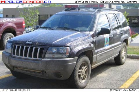 1991 Ford Crown Victoria - A dark-colored SUV, identified as a Jeep Grand Cherokee, is parked next to a red pickup truck, equipped with a light bar on its roof.