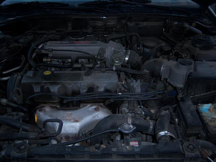 engine bay with hoses, wires, and engine components visible