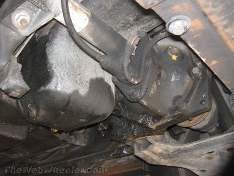 1987 Suzuki Samurai - Underside view of a vehicle's engine oil pan and drivetrain components, showing some oil residue.