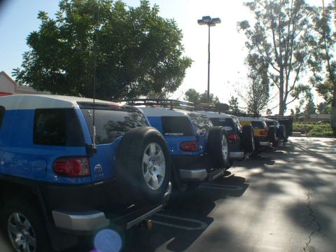 2007 Toyota FJ Cruiser - Multiple Toyota FJ Cruisers are lined up in a parking lot on a sunny day.