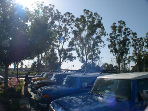 2007 Toyota FJ Cruiser - Several Toyota FJ Cruisers are parked in a lot on a clear day.