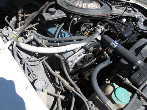 1991 Ford LTD Crown Victoria - Close-up view of a car's engine bay, showing various hoses, belts, and engine components.