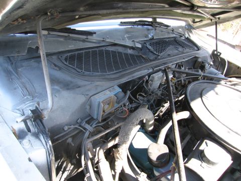 1991 Ford LTD Crown Victoria - Engine bay components including hoses, wiring, and air filter housing are visible.