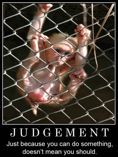 1995 Ford Bronco - A monkey is behind a fence with text that says JUDGEMENT and a quote about actions.