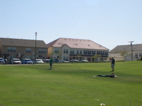 2007 Toyota FJ Cruiser - A sunny day scene with parked cars, buildings, and people on a grassy field.