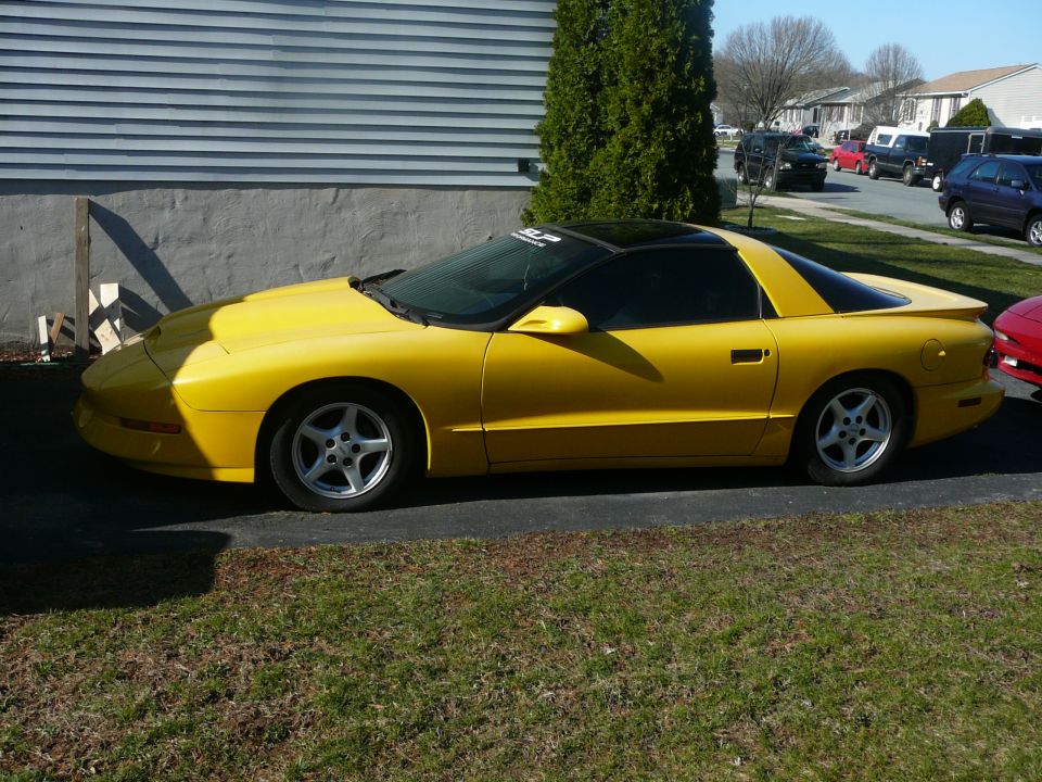 1996 Pontiac Trans Am “yllowbeast”