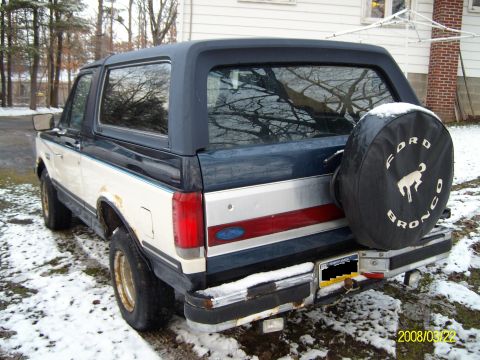 1988 Ford Bronco - Rear view of a 1988 Ford Bronco, a spare tire cover with the iconic Ford Bronco emblem.