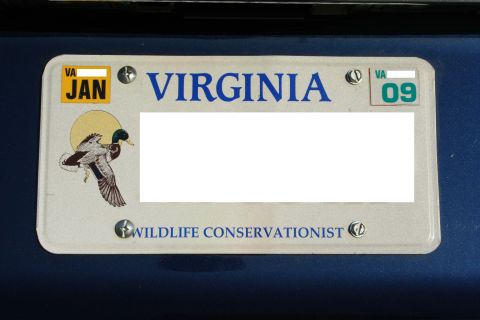 2003 Ford F-250 - A Virginia license plate with a duck graphic and expiration sticker showing 09 is attached to a dark blue surface.