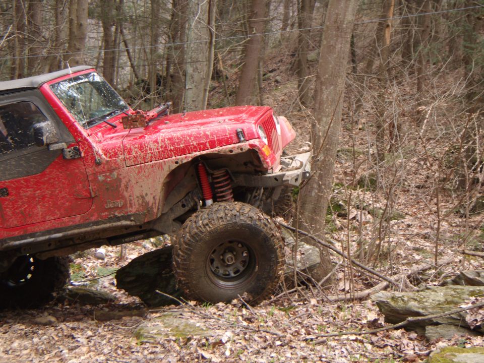 Red Jeep Wrangler navigating a wooded trail, tires on rocks