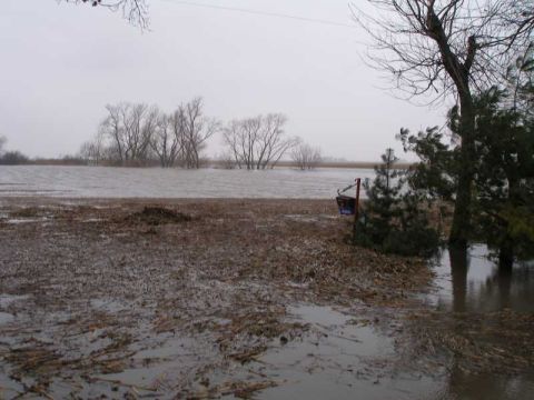 1997 Ford Taurus - A flooded rural landscape with bare trees and debris scattered across the waterlogged ground.