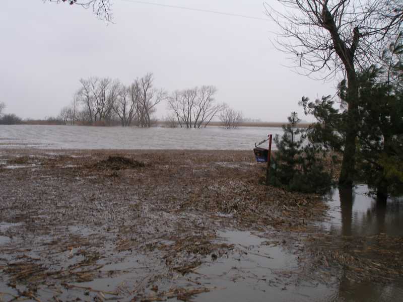 Flooded field with debris and trees, a mailbox is visible on the right