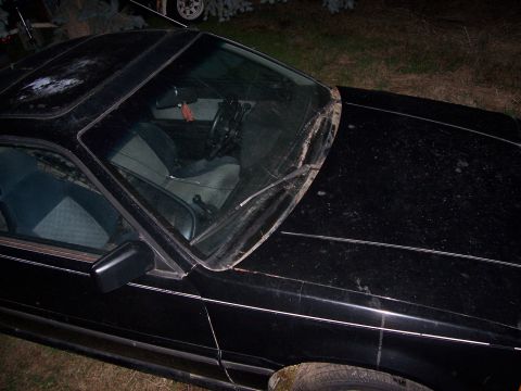 1987 Honda CRX photo
