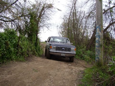 1989 Ford Bronco - This 1987 Ford Bronco navigates a rural dirt road, with dense foliage on either side.