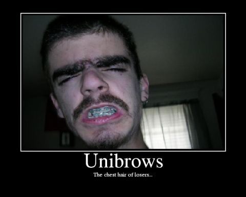 1995 Ford Bronco - A joke demotivational poster showing a close-up portrait of a person making a face indoors, captioned "Unibrows: The chest hair of losers..…