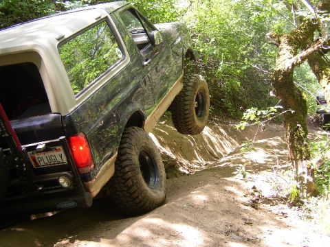 1989 Ford Bronco - A dark green SUV with a white top navigates a steep, wooded dirt trail.