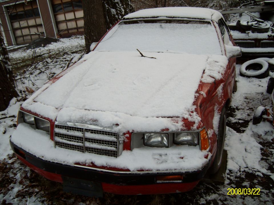 1986 Mercury Cougar “Jersey Devil”