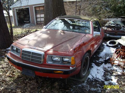 1986 Mercury Cougar - Right now the plan is to fix it up, new fender and remove the ugly top and scrub the hell out of the paint...get it running super nice and…