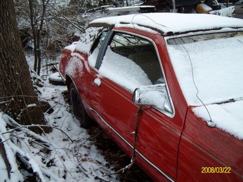 1986 Mercury Cougar - A red car sits abandoned in a snowy wooded area, its side profile partially obscured by snow.
