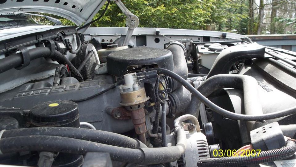 Engine bay with hoses, distributor, and alternator visible