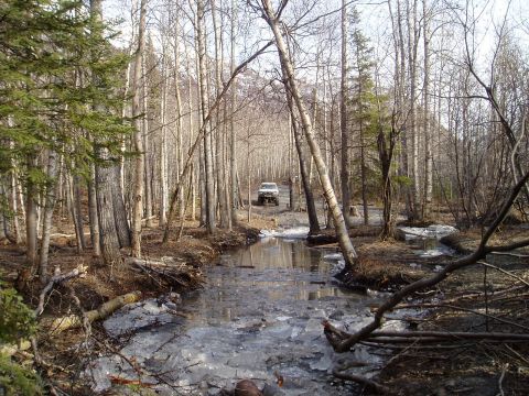 2000 Ford E350 - A white SUV navigates a wooded path, with ice and water visible along the roadside.