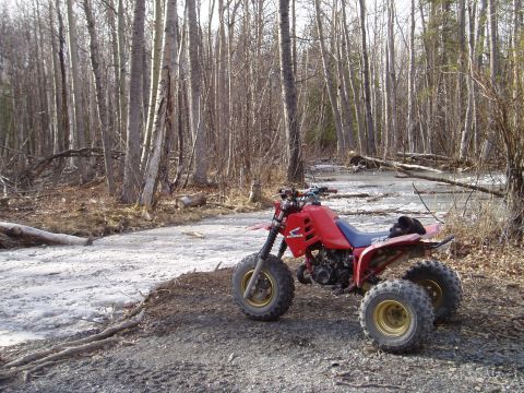2000 Ford E350 - Three-wheeled ATV sits on a dirt path surrounded by trees and snow.