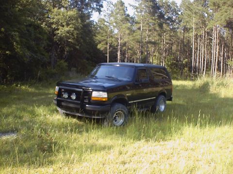 1995 Ford Bronco - A black 1995 Ford Bronco is parked in a grassy field with trees in the background.