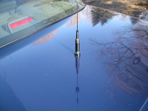2003 Ford Crown Victoria - Close-up of a car antenna on a blue vehicle's hood, reflecting trees.