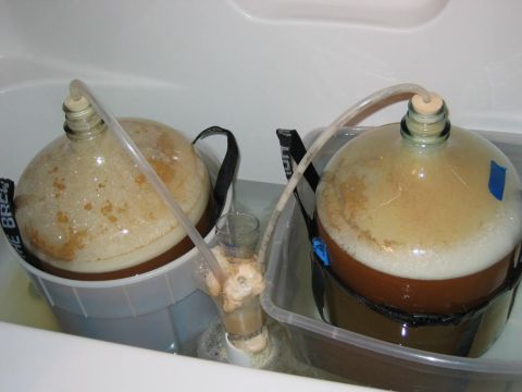 1985 Ford LTD Crown Victoria - Fermentation carboys with tubing are submerged in a bathtub, indicating a brewing process.