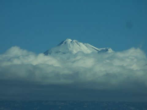 1990 Ford Bronco - Shasta in Clouds