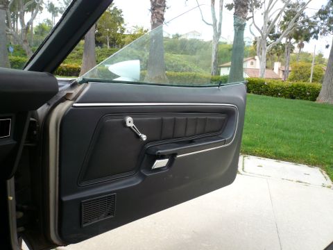 1975 Ford Ranchero - Interior view of a car door panel with a black textured insert and chrome hardware.