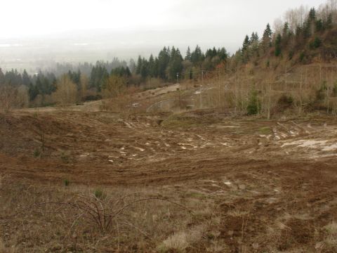 1978 Ford Bronco - A muddy hillside shows extensive tire tracks, suggesting off-road vehicle activity.
