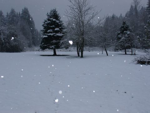 1978 Ford Bronco - A winter scene with snow falling over a field and trees.