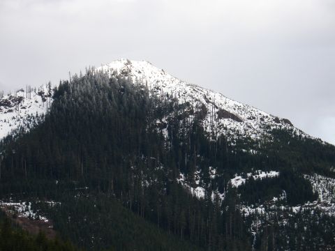 1978 Ford Bronco - A vast mountain landscape is covered in snow and dense pine forests under an overcast sky.