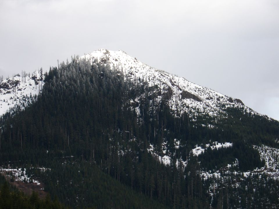 Snow-covered mountain peak with dark pine trees under a cloudy sky. Watermark 'SUPERMOTORS' visible