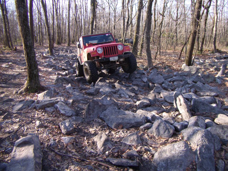 Red Jeep Wrangler navigating a rocky trail in a wooded area