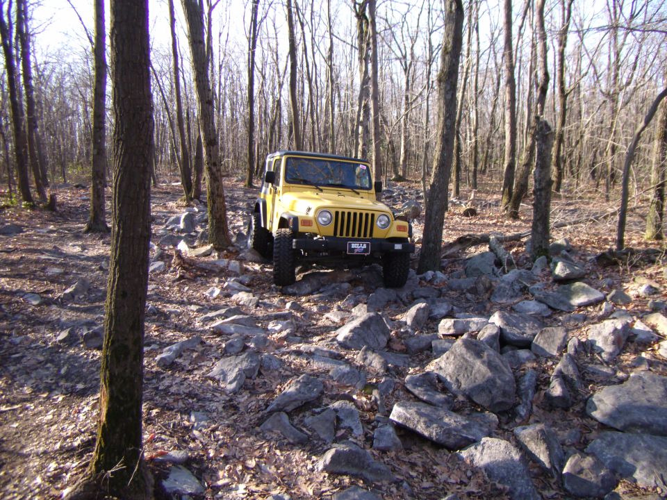 Yellow Jeep Wrangler on rocky trail in woods. License plate says 'BELLA'
