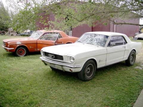 1965 Ford Mustang photo