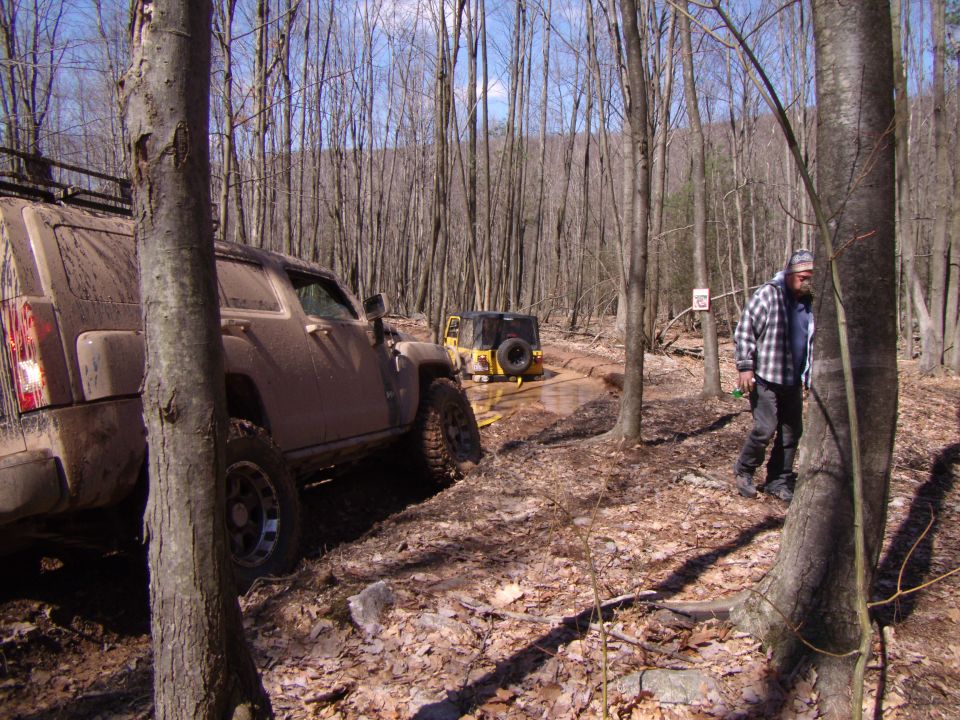 Two off-road vehicles navigating a muddy trail through a forest; one is a tan SUV, the other is a yellow Jeep