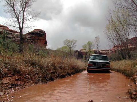 1995 Ford Bronco photo