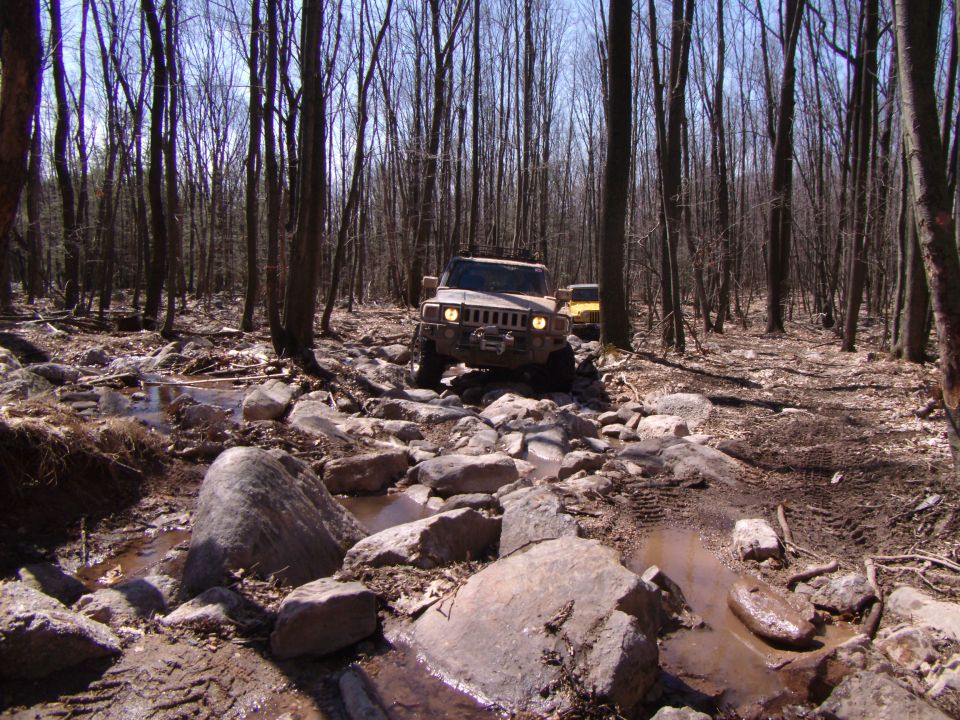 Tan 2003 Jeep Wrangler on rocky forest trail