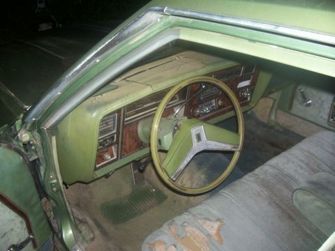 1979 Oldsmobile Delta 88 photo