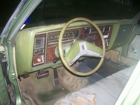 1979 Oldsmobile Delta 88 photo
