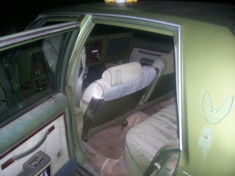 1979 Oldsmobile Delta 88 photo
