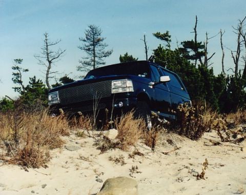 1994 Ford Bronco - A 1994 Ford Bronco is shown on a sandy terrain with sparse vegetation and trees under a clear sky.