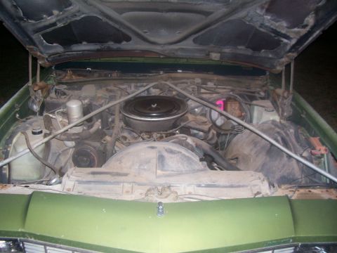 1979 Oldsmobile Delta 88 photo