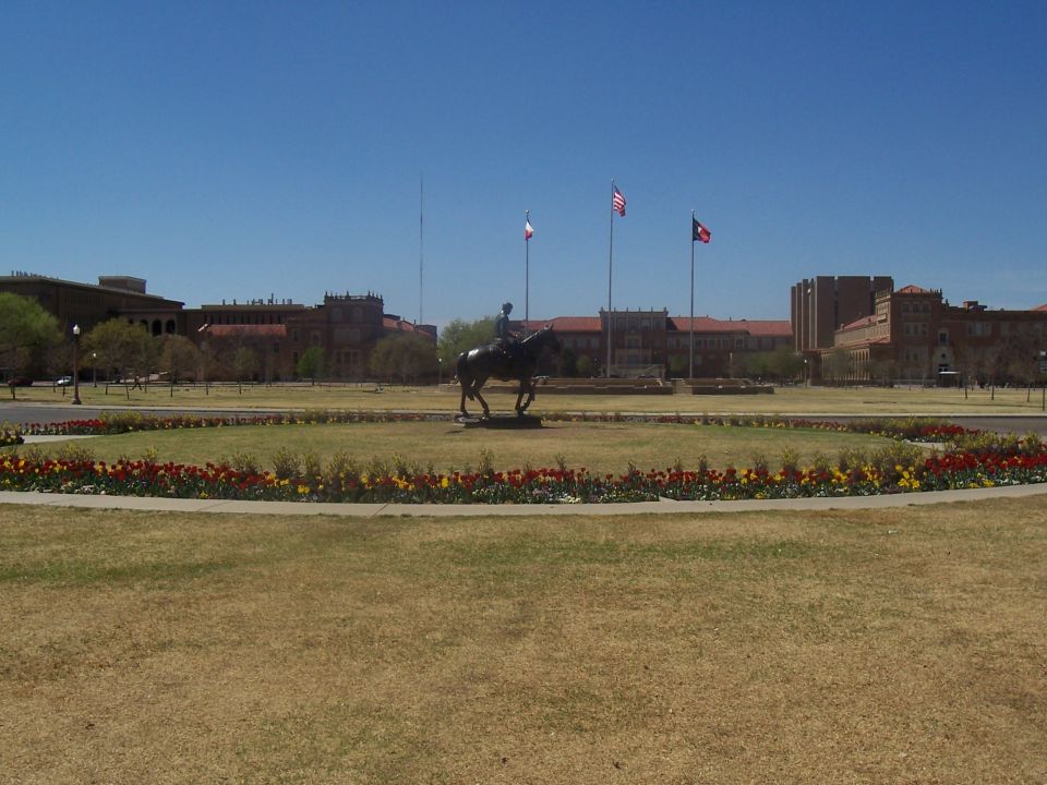 Statue of a cowboy on a horse with flags and buildings in the background
